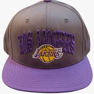 Lakers Logo Flat shape visor caps